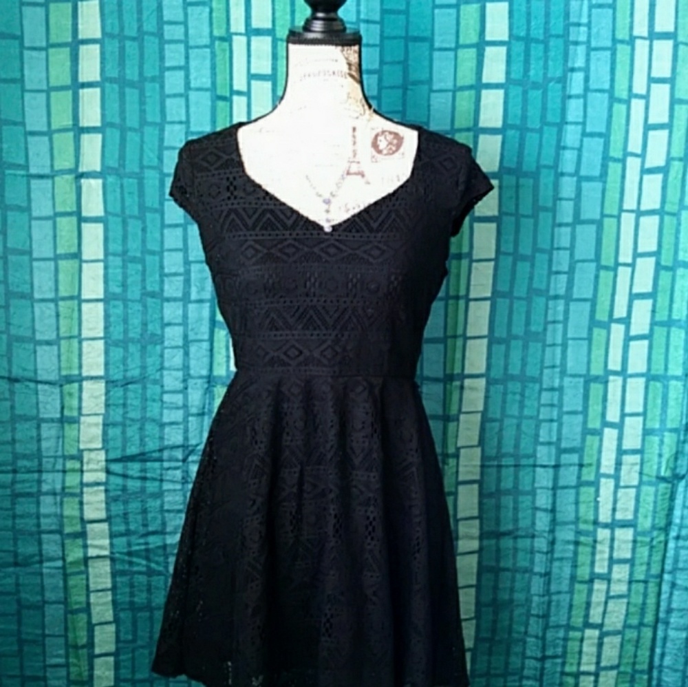 Fit & Flare Crochet Lace Dress. Great quality!